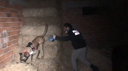 Samanlıktaki uyuşturucu zulasını narkotik köpeği patlattı