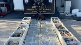 Balık yüklü araçta kilolarca esrar ele geçirildi