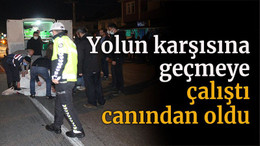 Yolun karşısına geçmeye çalıştı, canından oldu