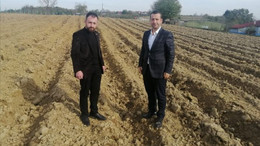 AKP İzmit: “Lavantanın L’si kalmamış!”