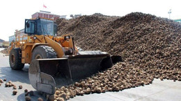 Şekere hukuksuz zam