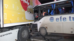 Efe Tur servisi, tavuk yüklü tıra çarptı!
