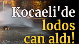 Kocaeli'de lodos can aldı!