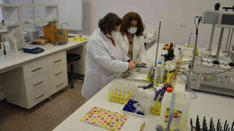 Kanamaları erken durduran formül bulundu