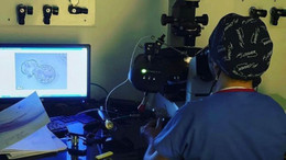 Erkek kısırlığına neden olan bir mutasyon bulundu