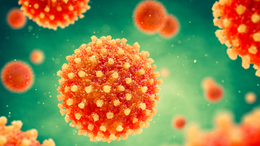 Erişkinlere Hepatit A uyarısı