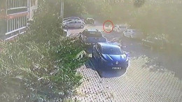 Köpeğe çarpıp yoluna devam etti