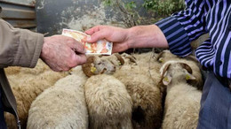 ESK'den üreticilere sevindirici haber!