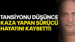 Tansiyonu düşünce kaza yapan sürücü hayatını kaybetti!