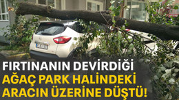 Fırtınanın devirdiği ağaç, park halindeki aracın üzerine düştü!