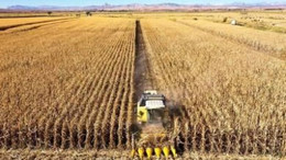 Çiftçinin maliyeti arttıkça artıyor!