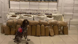 2 milyon 30 bin makaron ele geçirildi