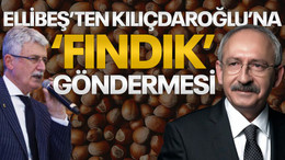 Ellibeş’ten Kılıçdaroğlu’na “FINDIK” göndermesi!