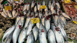 Balık tezgahlarından palamut eksilmiyor