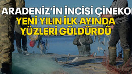 Karadeniz’in incisi çinekop, yeni yılın ilk ayında yüzleri güldürdü