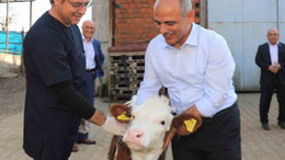Körfez’de hayvan üreticilerine müjde!
