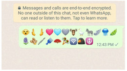 WhatsApp'a 21 yeni emoji geldi