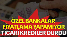 Özel bankalar fiyatlama yapamıyor, ticari krediler durdu