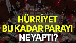Hürriyet bu kadar parayı ne yaptı?