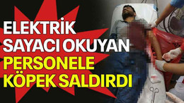 Elektrik sayacı okuyan personele köpek saldırdı