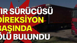 Tır sürücüsü direksiyon başında ölü bulundu
