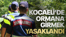 Kocaeli’de ormana girmek yasaklandı