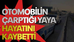 Otomobilin çarptığı yaya hayatını kaybetti
