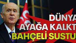 Dünya ayağa kalktı, Bahçeli sustu!