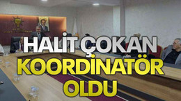 Halit Çokan koordinatör oldu