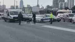 Yolunu kaybeden tilki trafiği birbirine kattı
