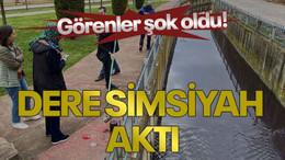 Dere simsiyah aktı, görenler şok oldu!