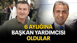 6 aylığına başkan yardımcısı oldular