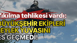 Yıkılma tehlikesi vardı: Büyükşehir ekipleri leylek yuvasını es geçmedi!
