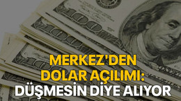 Merkez'den dolar açılımı: Düşmesin diye alıyor
