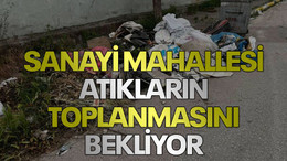 Sanayi Mahallesi atıkların toplanmasını bekliyor