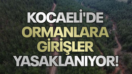 Kocaeli'de ormanlara girişler yasaklanıyor!