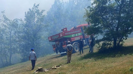 Sinop’ta orman yangını