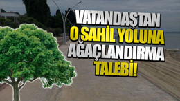 Vatandaştan o sahil yoluna ağaçlandırma talebi!