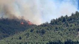 Hatay’da orman yangını