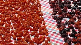 Yaş hasadı ülke genelinde başladı. Ancak kurusundan 1 avuç yemek çok daha iyiymiş