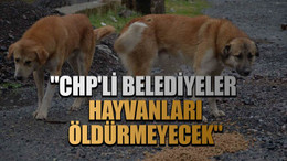 "CHP'li belediyeler hayvanları öldürmeyecek"