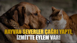 Hayvan severler çağrı yaptı, İzmit'te eylem var!