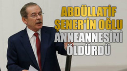 Abdüllatif Şener'in oğlu, anneannesini öldürdü