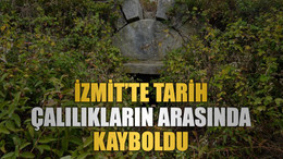 İzmit’te tarih çalılıkların arasında kayboldu