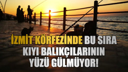 İzmit körfezinde bu sıra kıyı balıkçılarının yüzü gülmüyor!