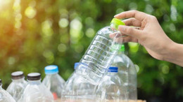 Plastik şişeden su içen erkeklerin sperm kalitesi düşüyor