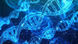 Zihinsel engelliliğe yol açabilen yeni gen varyantları tespit edildi