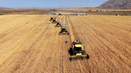 İşlenmeyen tarım arazilerinin kiraya verilmesinde detaylar belli oldu