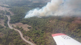 Adana'da orman yangını