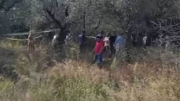 Kocaeli’deki zeytin bahçesinde ölü bulundu